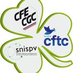 IFSE : des points d’attention – message de l’Alliance du Trèfle