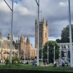 SIVEP  : RESET  BREXIT LE 12/02, agents du BOP 206 rejoignez nous pour échanger et nous faire part de vos interrogations.