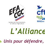 Elections CNESERAAV : l&rsquo;Alliance du Trèfle attend la proclamation officielle des résultats